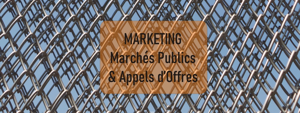 Maitriser le Marketing des march publics 